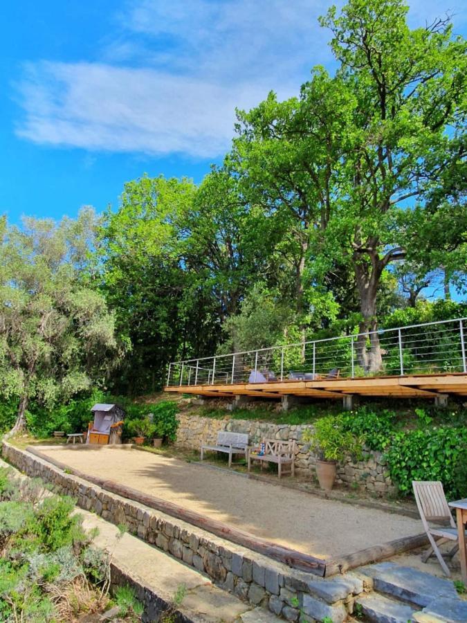 Pool House Matisse In Large Park With Heated Pool * Chateauneuf-Grasse