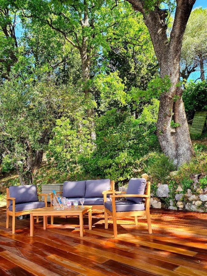 Pool House Matisse In Large Park With Heated Pool Chateauneuf-Grasse