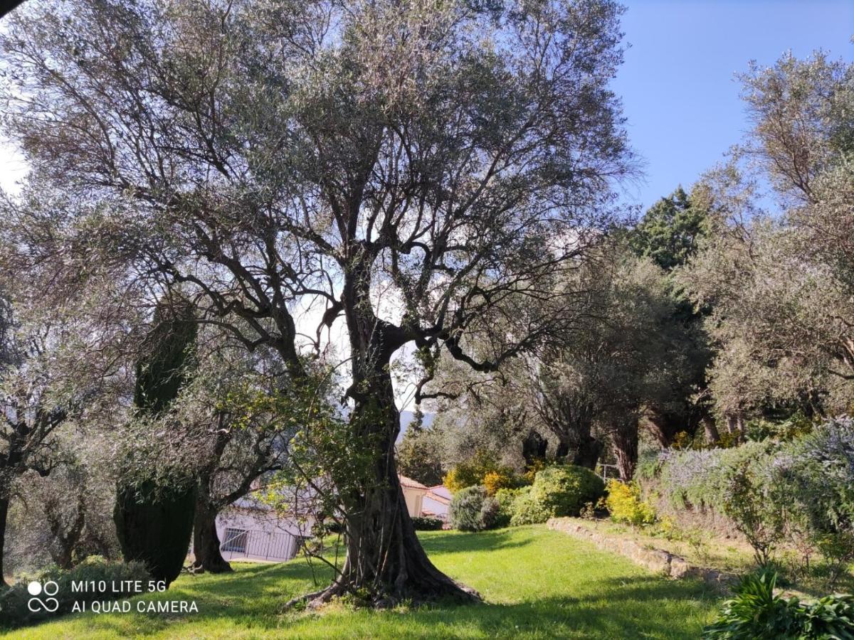 Pool House Matisse In Large Park With Heated Pool Holiday home Chateauneuf-Grasse