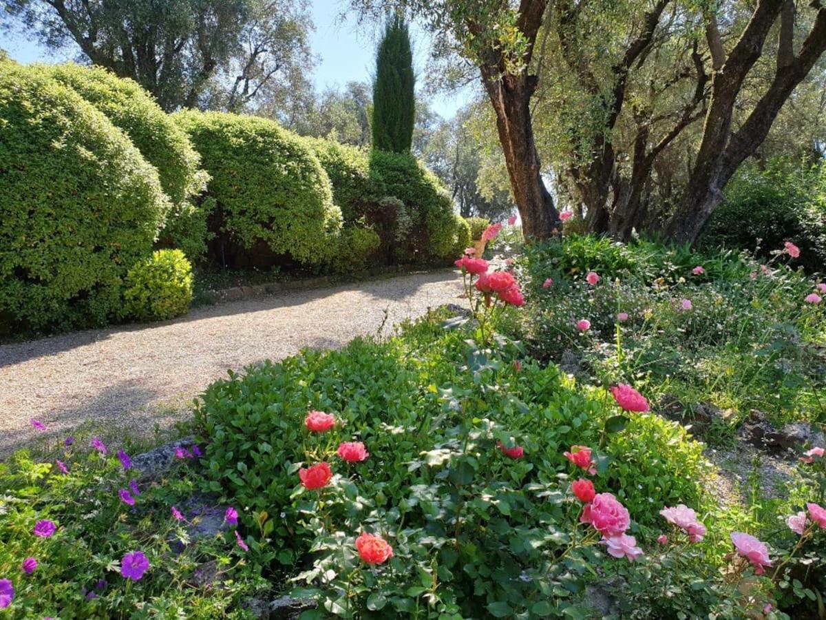 Pool House Matisse In Large Park With Heated Pool Holiday home *
