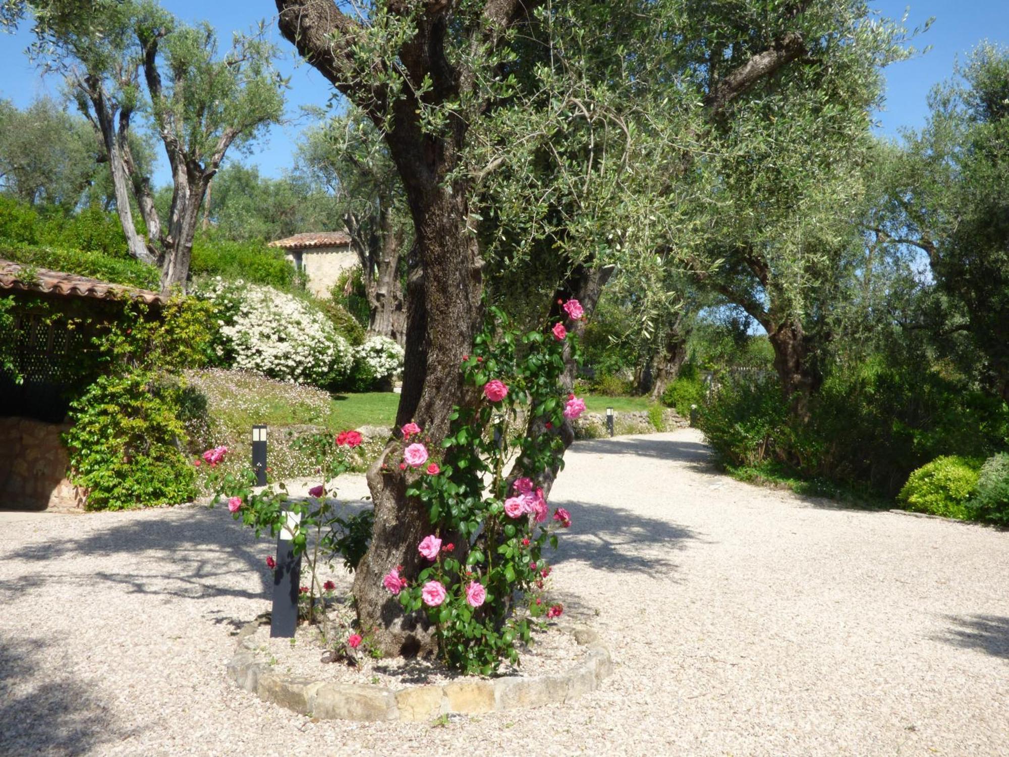 Holiday home Pool House Matisse In Large Park With Heated Pool Chateauneuf-Grasse
